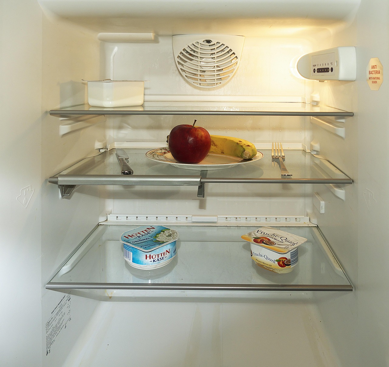 Siemens Fridge and Freezer Repair Services