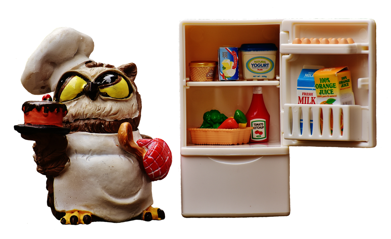 Siemens Fridge and Freezer Repair Services